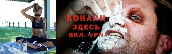 твердый Тутаев