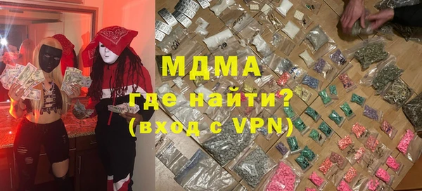 индика Туринск